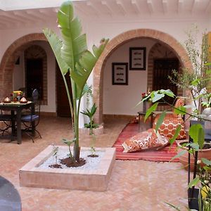La Maison Berber Shams